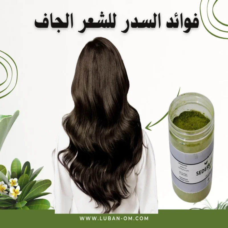 فوائد السدر للشعر الجاف