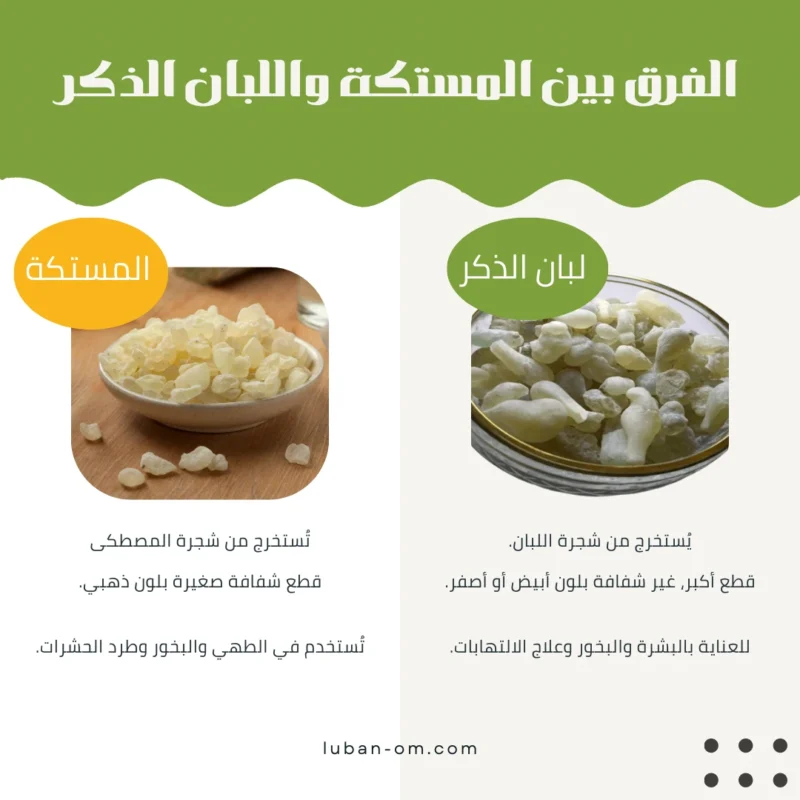 الفرق بين المستكة واللبان الذكر