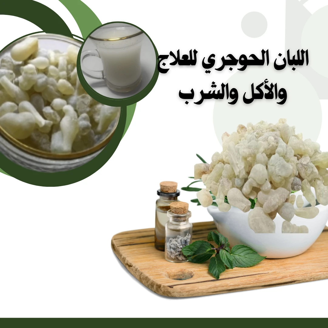 اللبان الحوجري للعلاج والأكل والشرب: فوائده واستخداماته بالتفصيل 1 اللبان الحوجري للعلاج والأكل والشرب