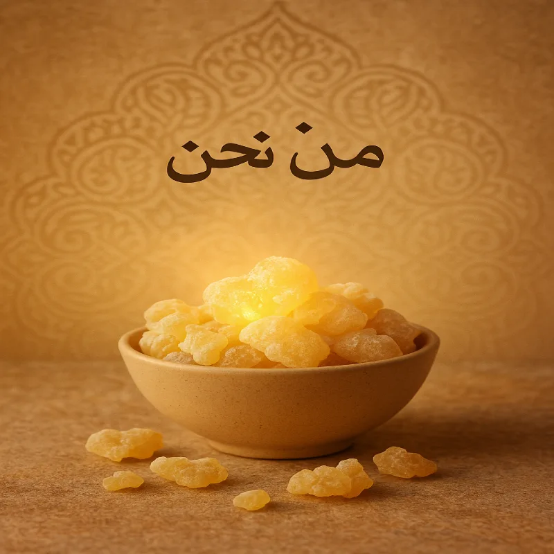 من نحن 1 متجر لبان برالزمان